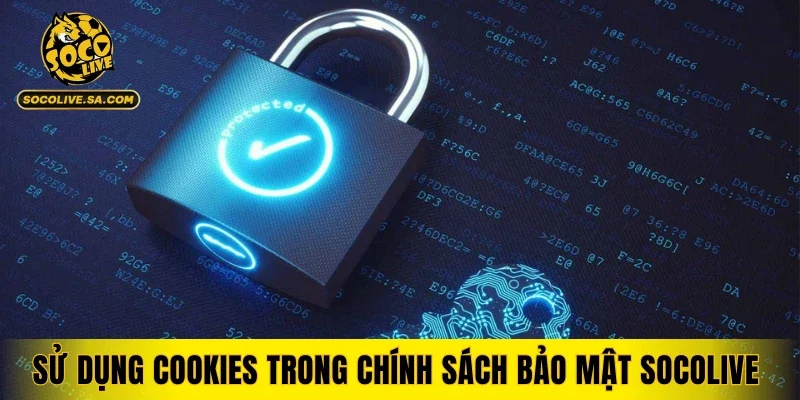 Sử dụng cookies trong chính sách bảo mật Socolive áp dụng